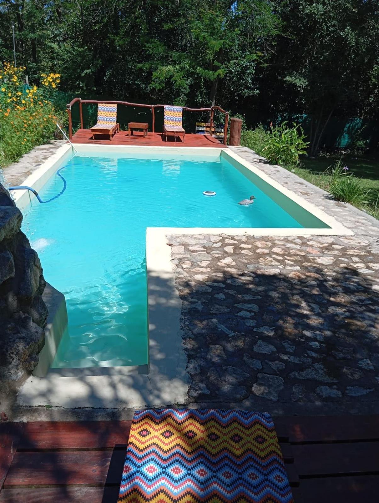 Villa La Isolina Villa Giardino Buitenkant foto
