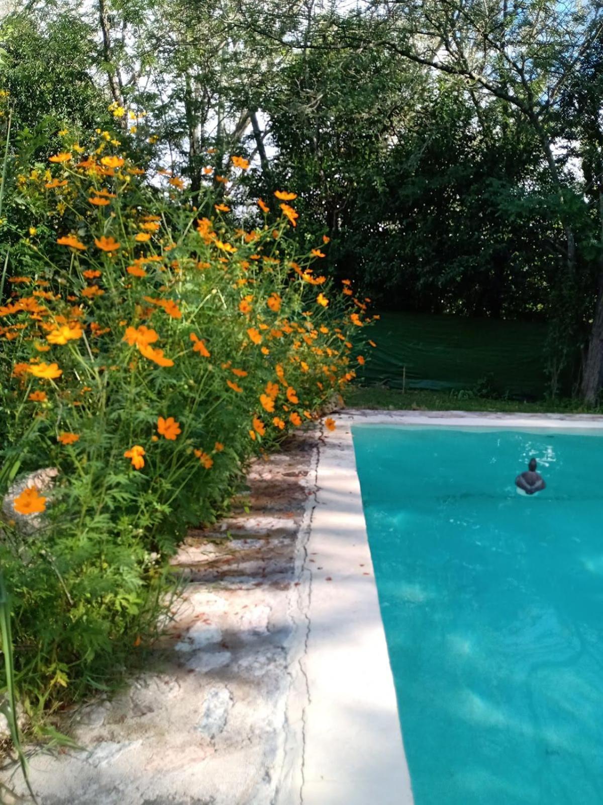 Villa La Isolina Villa Giardino Buitenkant foto